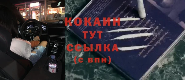 ешки Арсеньев