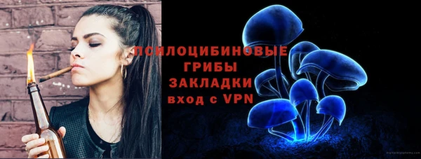 прущий лед Аркадак