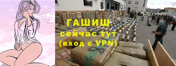шишки Киренск