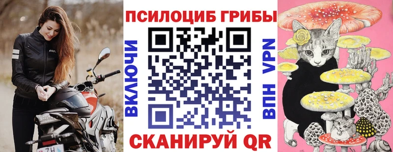 hydra ссылка  дарнет шоп  Балей  Псилоцибиновые грибы Psilocybe 